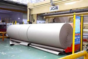 四川金田纸业有限公司燃煤/造纸废物循环流化床锅炉SCR工程