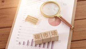 《全国碳市场发展报告（2024）》全文发布